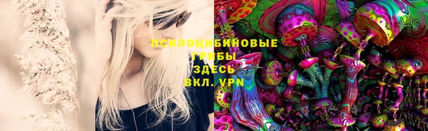 прущие грибы Алексин