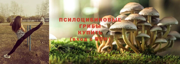 сатива Алзамай