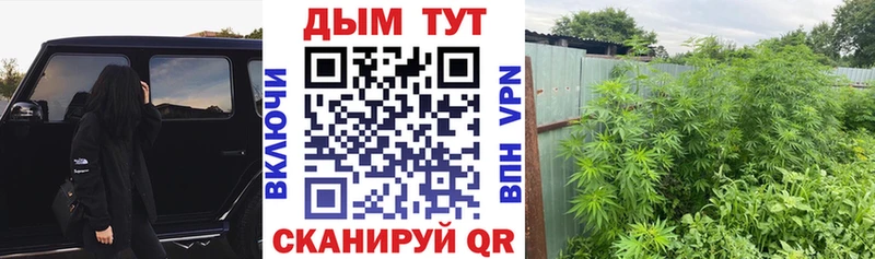 цена наркотик  Микунь  кракен как зайти  МАРИХУАНА индика 